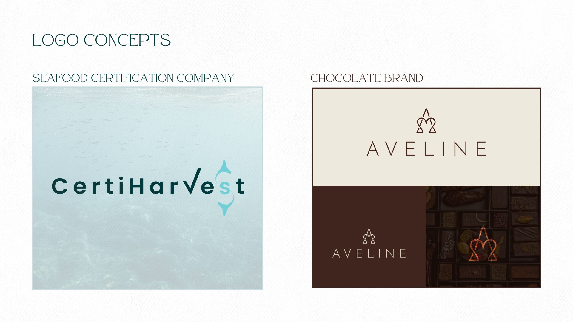 seafood company logo design
chocolate brand logo design